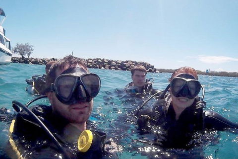 Wave Break Island Scuba Diving On The Gold Coast - Accommodation Cooktown 0
