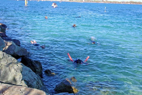 Wave Break Island Scuba Diving On The Gold Coast - Accommodation Cooktown 1