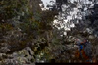 kunanyi / Mt. Wellington Guided Hiking Tour, Hobart