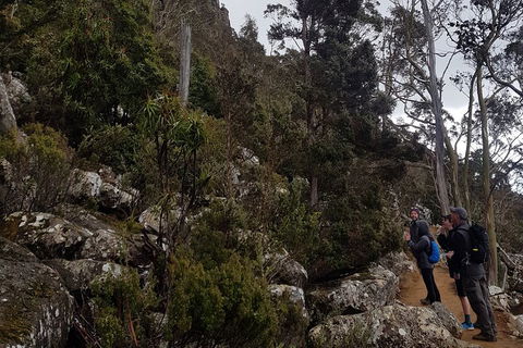 Kunanyi / Mt. Wellington Guided Hiking Tour - Accommodation Cooktown 0