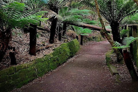 Kunanyi / Mt. Wellington Guided Hiking Tour - Accommodation Cooktown 1