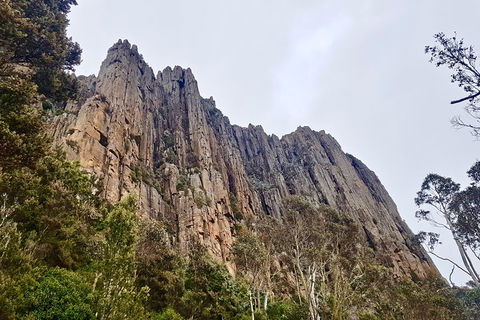 Kunanyi / Mt. Wellington Guided Hiking Tour - Accommodation Cooktown 4