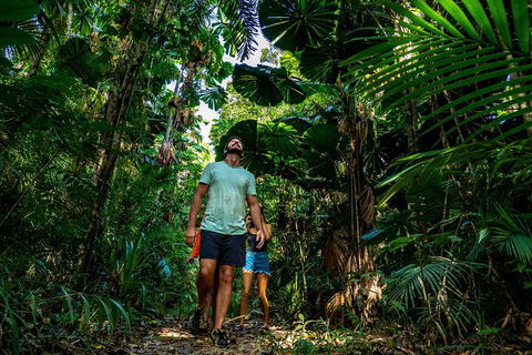 Full Day Daintree Rainforest And Mossman Gorge Tour - Accommodation Cooktown 0