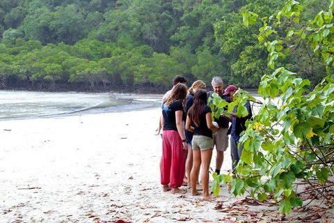 Full Day Daintree Rainforest And Mossman Gorge Tour - Accommodation Cooktown 2