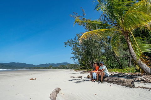 Full Day Daintree Rainforest And Mossman Gorge Tour - Accommodation Cooktown 4