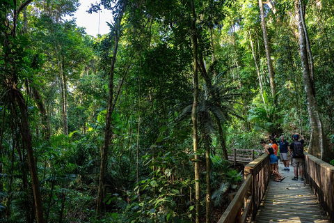 Full Day Daintree Rainforest And Mossman Gorge Tour - Accommodation Cooktown 5
