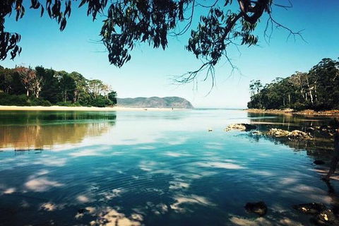 Full-Day Guided Bruny Island Tour From Hobart - Accommodation Cooktown 1