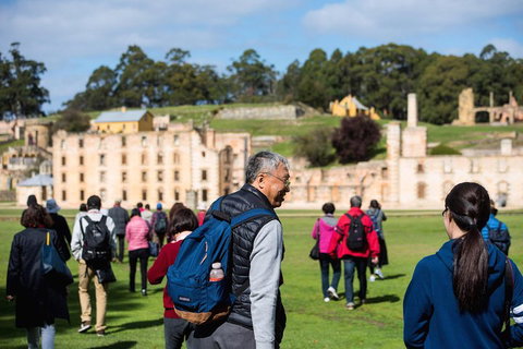 Port Arthur Express Shuttle - Accommodation Cooktown 4