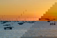 Darwin Hop-on Hop-off Bus Tour