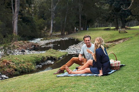 Mt Tamborine - Hinterland Wonders Self Guided - Accommodation Cooktown 0