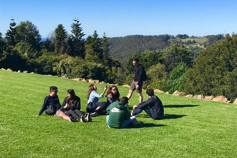 Mt Tamborine - Hinterland Wonders Self Guided - Accommodation Cooktown 1