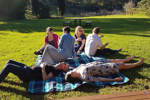 Mt Tamborine - Hinterland Wonders Self Guided - Accommodation Cooktown 2