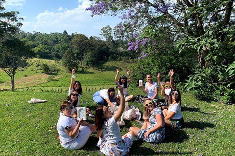 Mt Tamborine - Hinterland Wonders Self Guided - Accommodation Cooktown 5