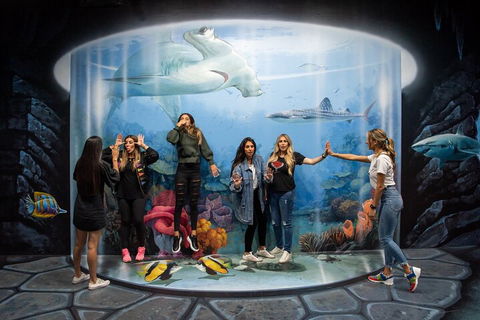 ArtVo Immersive Gallery Experience - Accommodation Cooktown 2