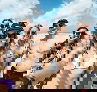 Whitsunday Islands Sailing Adventure - Accommodation Cooktown