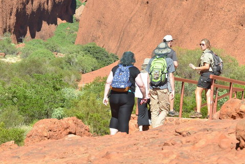 Afternoon Kata Tjuta Small Group Tour - Accommodation Cooktown 0