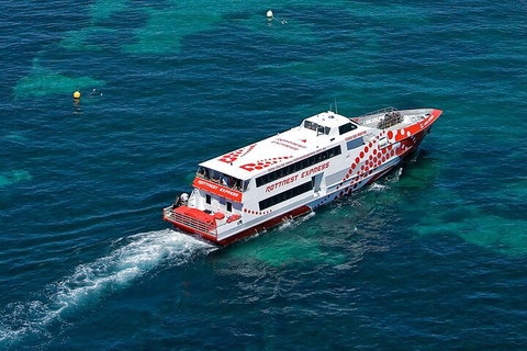 Discover Rottnest With Ferry & Bus Tour From Perth Or Fremantle - Accommodation Cooktown 3