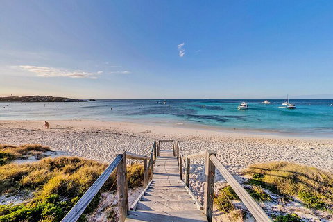 Discover Rottnest With Ferry & Bus Tour From Perth Or Fremantle - Accommodation Cooktown 4