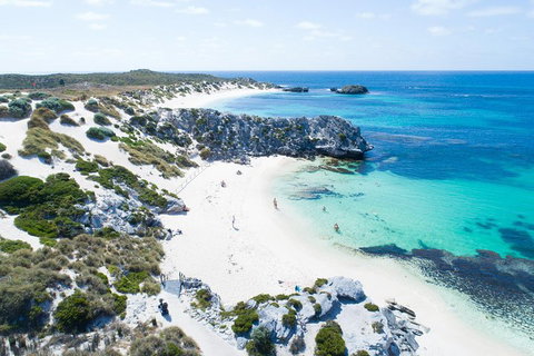 Discover Rottnest With Ferry & Bus Tour From Perth Or Fremantle - Accommodation Cooktown 5