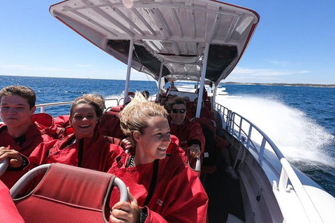 Adventure Rottnest Tour With Ferry & Adventure Cruise From Perth Or Fremantle - Accommodation Cooktown 0