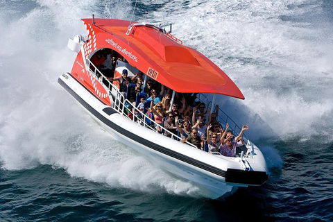 Adventure Rottnest Tour With Ferry & Adventure Cruise From Perth Or Fremantle - Accommodation Cooktown 2