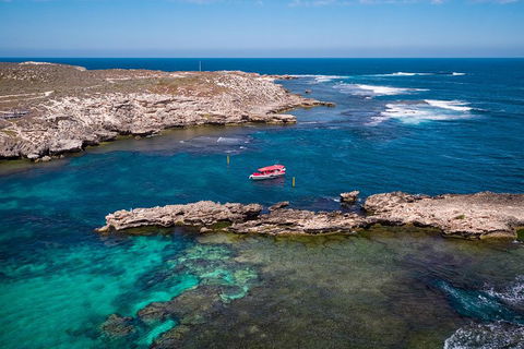 Adventure Rottnest Tour With Ferry & Adventure Cruise From Perth Or Fremantle - Accommodation Cooktown 3