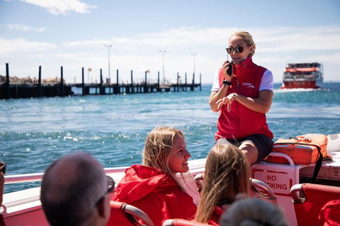Adventure Rottnest Tour With Ferry & Adventure Cruise From Perth Or Fremantle - Accommodation Cooktown 4