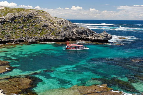 Adventure Rottnest Tour With Ferry & Adventure Cruise From Perth Or Fremantle - Accommodation Cooktown 5