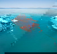 Ocean Freedom Great Barrier Reef Personal Luxury Snorkel  Dive Cruise Cairns - Accommodation Cooktown