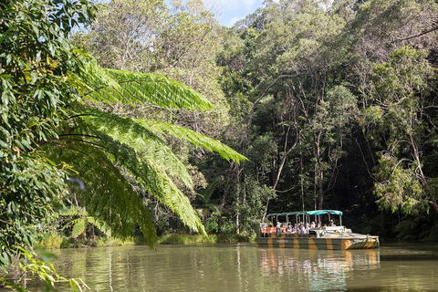 Best Of Kuranda Including Skyrail, Kuranda Scenic Railway And Rainforestation - Accommodation Cooktown 5