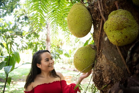 Kuranda Village, Army Duck Tour With Train And Skyrail (KDB) - Accommodation Cooktown 2