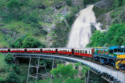 Kuranda Village, Army Duck Tour With Train And Skyrail (KDB) - Accommodation Cooktown 3