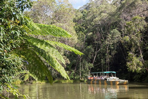 Kuranda Village, Army Duck Tour With Train And Skyrail (KDB) - Accommodation Cooktown 4