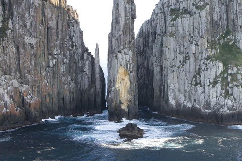 Tasman Island Cruises And Port Arthur Historic Site Day Tour From Hobart - Accommodation Cooktown 2