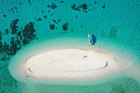 Ocean Safari Great Barrier Reef Experience In Cape Tribulation - Accommodation Cooktown 3