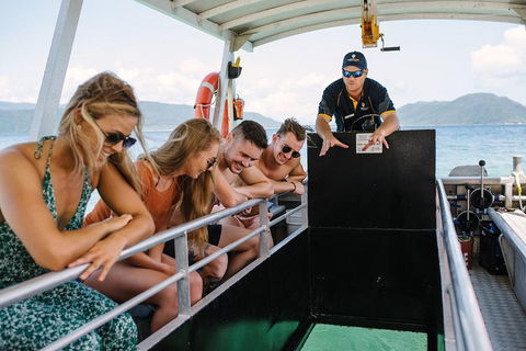 Fitzroy Island Day Trip From Cairns - Accommodation Cooktown 4