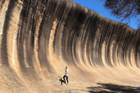 6 Day Esperance & Margaret River Adventure Tour - Accommodation Cooktown 4