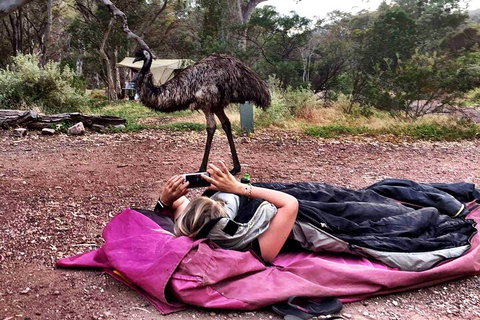 6 Day Esperance & Margaret River Adventure Tour - Accommodation Cooktown 5
