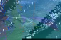 Dolphin Cruise from Adelaide with Optional Dolphin Swim