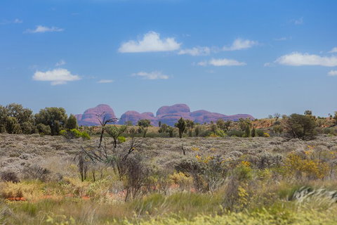 Overnight Uluru (Ayers Rock) Small-Group Camping Tour - Accommodation Cooktown 0