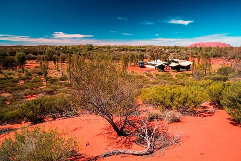 Overnight Uluru (Ayers Rock) Small-Group Camping Tour - Accommodation Cooktown 2