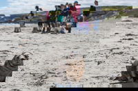 Book Viator Accommodation Vacations Accommodation Cooktown Accommodation Cooktown