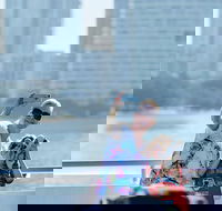 Lunch Buffet Cruise on the Gold Coast - Accommodation Cooktown