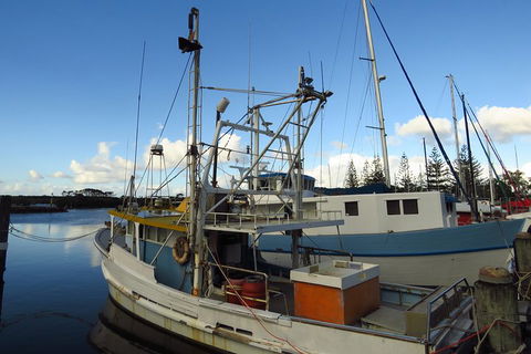 Beyond Byron Hinterland Tour - Accommodation Cooktown 0
