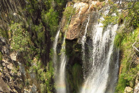 Beyond Byron Hinterland Tour - Accommodation Cooktown 5