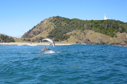 Kayaking With Dolphins In Byron Bay Guided Tour - Accommodation Cooktown 0