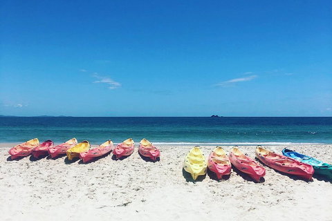 Kayaking With Dolphins In Byron Bay Guided Tour - Accommodation Cooktown 1