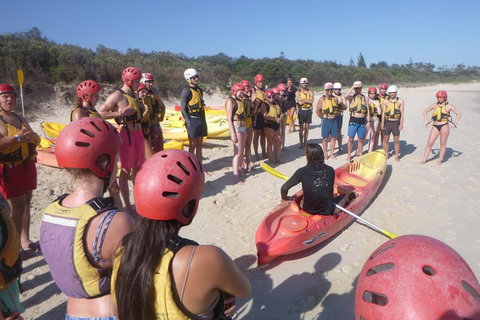 Kayaking With Dolphins In Byron Bay Guided Tour - Accommodation Cooktown 2