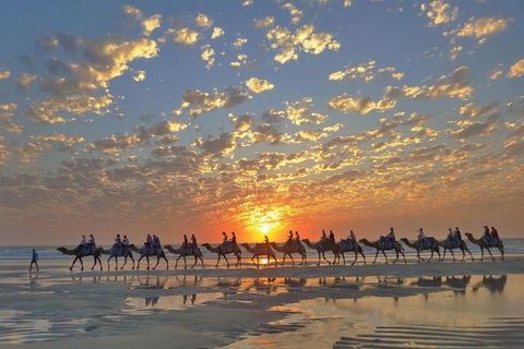 Broome City Sightseeing Tour With Optional Camel Ride - Accommodation Cooktown 1