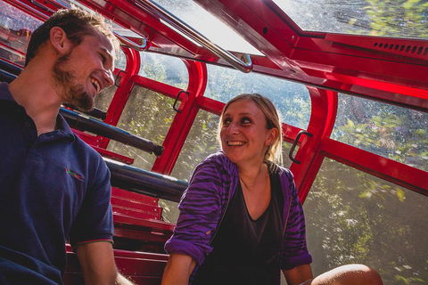 Blue Mountains Hop-on Hop-off Tour With Optional Scenic World Rides - Accommodation Cooktown 5